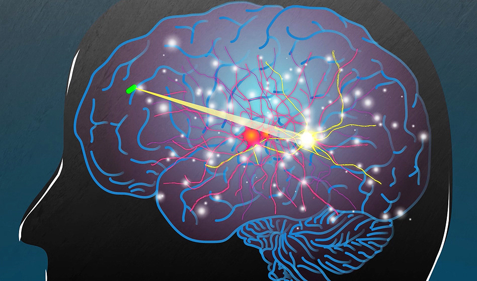 전기 또는 빛으로 뇌를 자극하여 질병을 치료하는 데 사용될 수 있다.(사진:MIT)
