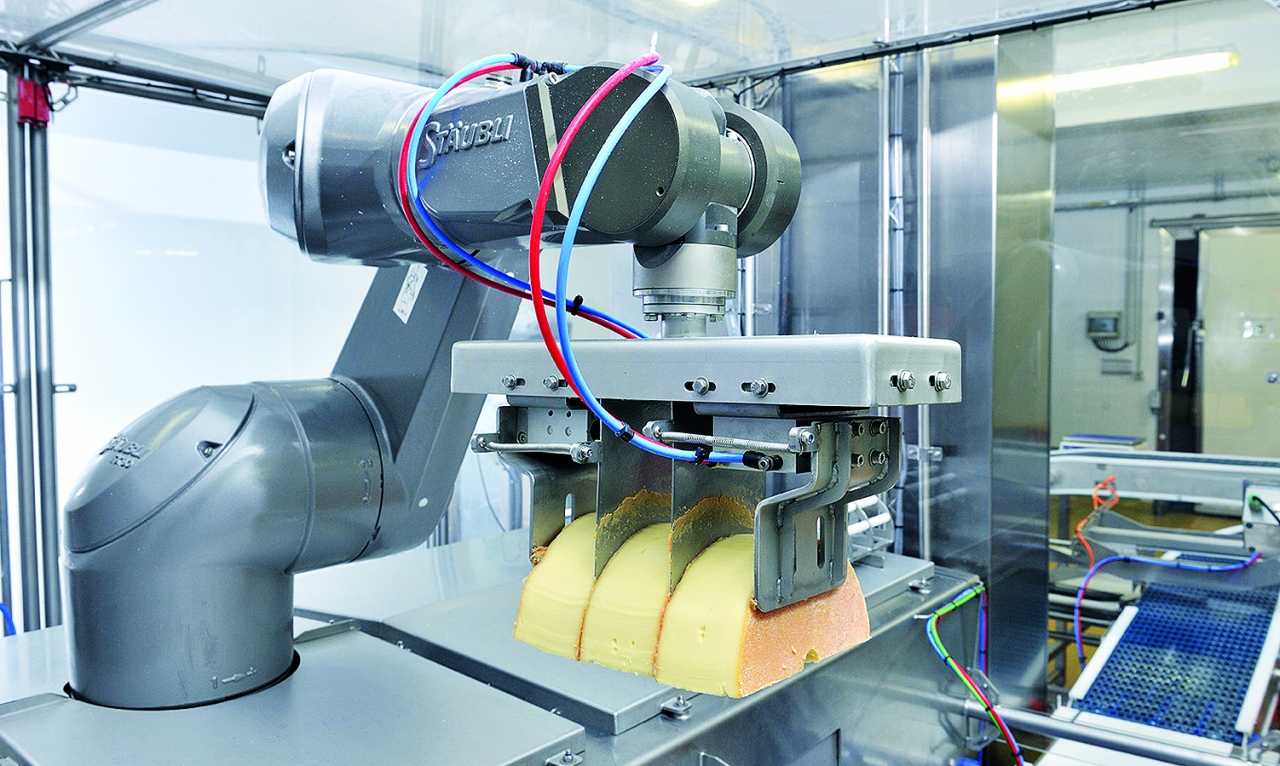 스토블리(Staubli) 로봇의 치즈 절단 공전(사진:IFR)