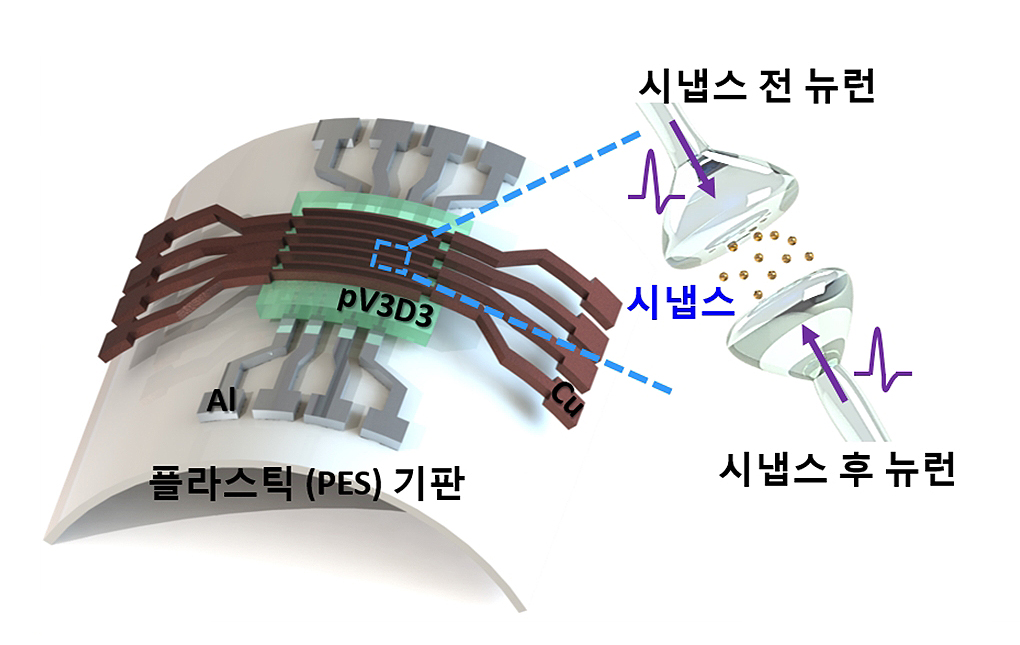 플라스틱 기판 위에 제작된 유연 멤리스터 시냅스 소자 모식도.