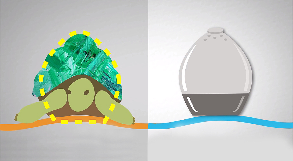 표범 거북(S.pardalis)과 약물캡슐(SOMA)의 비교(사진:영상캡처)