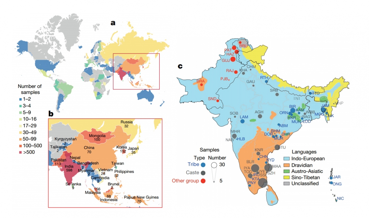 게놈아시아 100K 프로젝트의 국가별 샘플 수 및 분포도(a와 b: 국가별 샘플 수 / c: 남아시아 지역, 언어, 사회계급별 샘플 분포도)(사진:논문캡처)