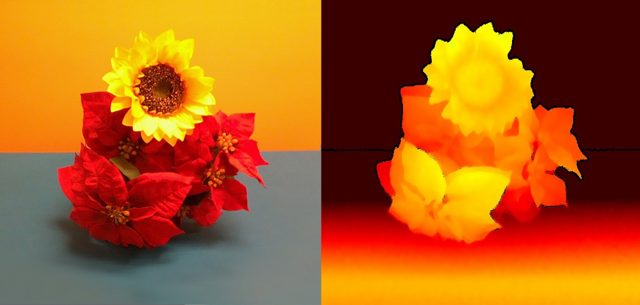 L515로 캡처 한 꽃의 깊이 이미지(오른쪽) 및 해당 RGB 이미지(왼쪽)는 L515가 테니스 공보다 작은 장치에서 고품질 물체 및 환경 스캐닝과 같은 응용 프로그램을 사용하는 방법을 보여준다(사진:인텔)