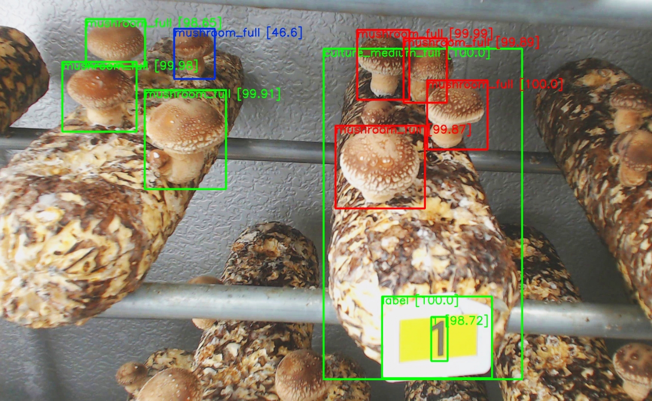 ㈜인튜웍스가 개발한 버섯 양식 영상 자동 분석 시스템 시연화면