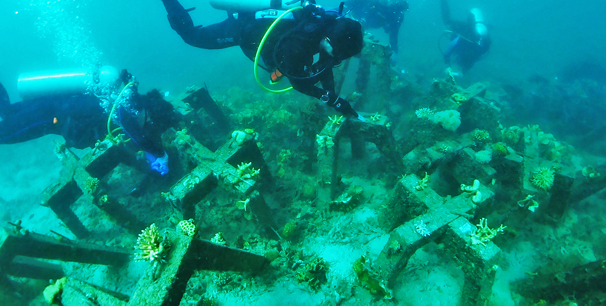 콘크리트 수중 플랫폼인 술루-리프(Sulu-Reef) 보형물