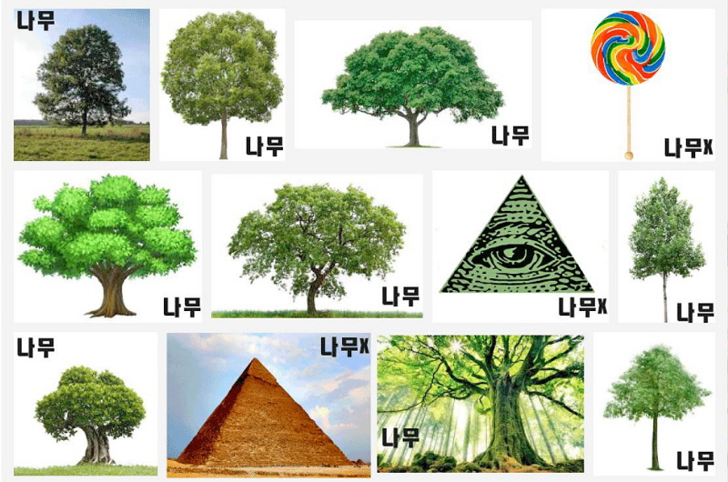 그림1. ‘나무’ 여부를 구별하기 위한 ‘나무’ vs ‘나무X’ 데이터