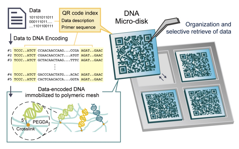 DNA-디스크의 정보 저장 원리와 손바닥 크기의 데이터센터