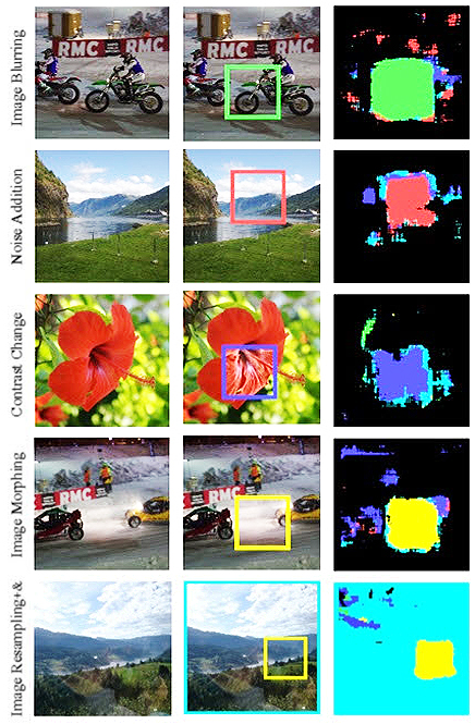 필수변이 공격 별 탐지 결과(예) 왼쪽: 원본 이미지, 중간: 유형별 변형 적용 이미지, 오른쪽: 분석 결과, 오른쪽의 이미지 분석 결과를 보면, 주변의 다른 색상과 다른 녹색, 붉은색, 파랑색, 노랑색 부분영역들이 섞여서 나타난다. 이는 해당 영역의 변형을 의미한다.