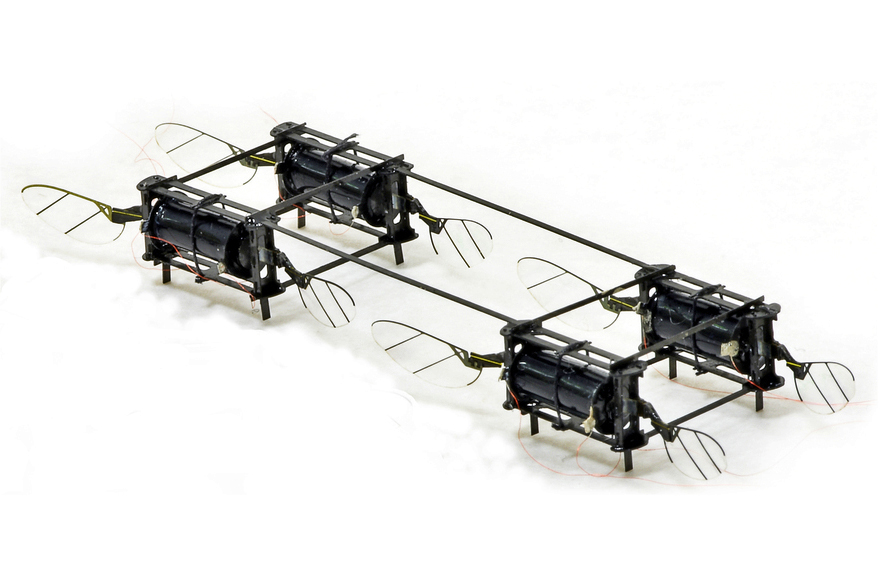 민첩성과 복원력을 갖춘 곤충 크기의 비행 로봇(드론) 개발(사진:MIT)