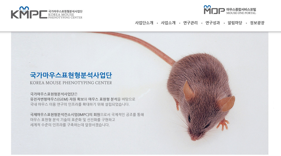확대이미지