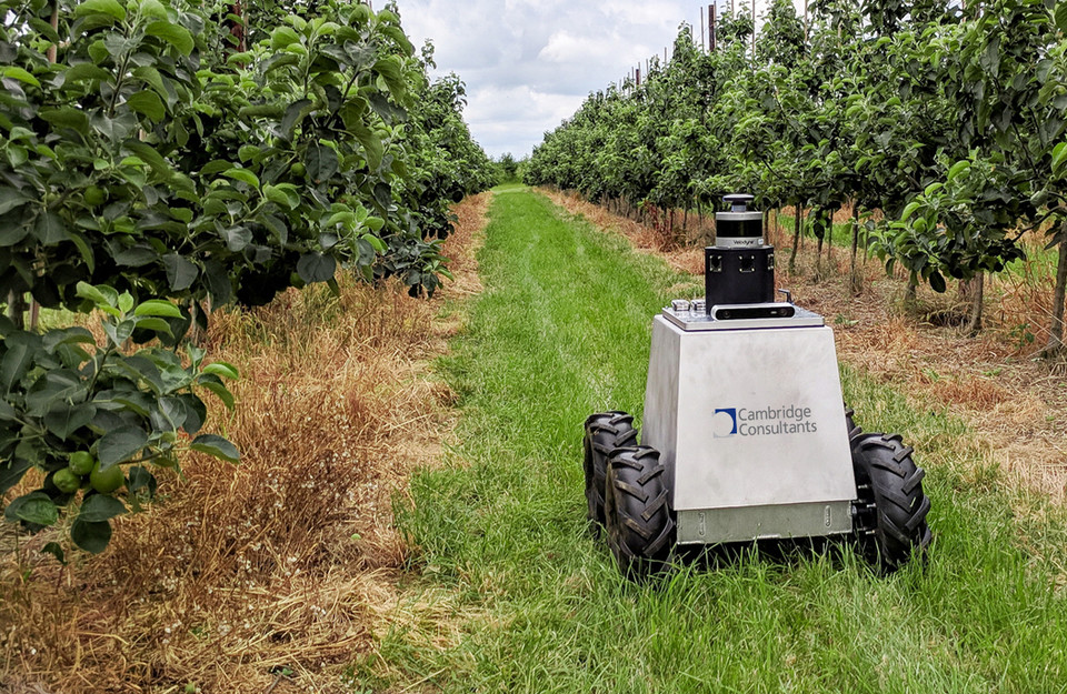 캠브리지컨설턴트의 AI 자율 로봇 플랫폼 마무트는 정교한 센서 배열구조로 설계돼 GPS나 별도의 통신시스템이 없이도 자동으로 주변지도를 매핑하고 경로를 찾을 수 있다. 특히 밭, 과수원, 포도원 등의 농지에서 자유롭게 움직이며, 농작물 높이에 맞춘 내장 카메라를 통해 각 작물의 생장 상태와 예상수확량을 분석한다.(사진:본지DB)