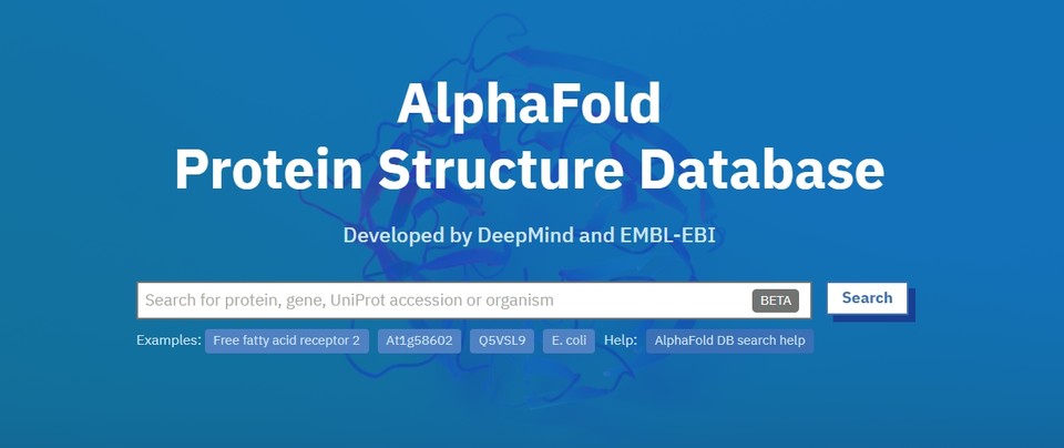 AlphaFold 단백질 구조 데이터베이스 홈페이지 캡처
