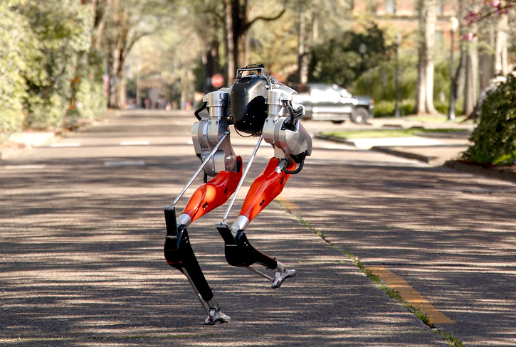 강화학습 기반 이족보행 로봇 '캐시(Cassie)'(사진:OSU)