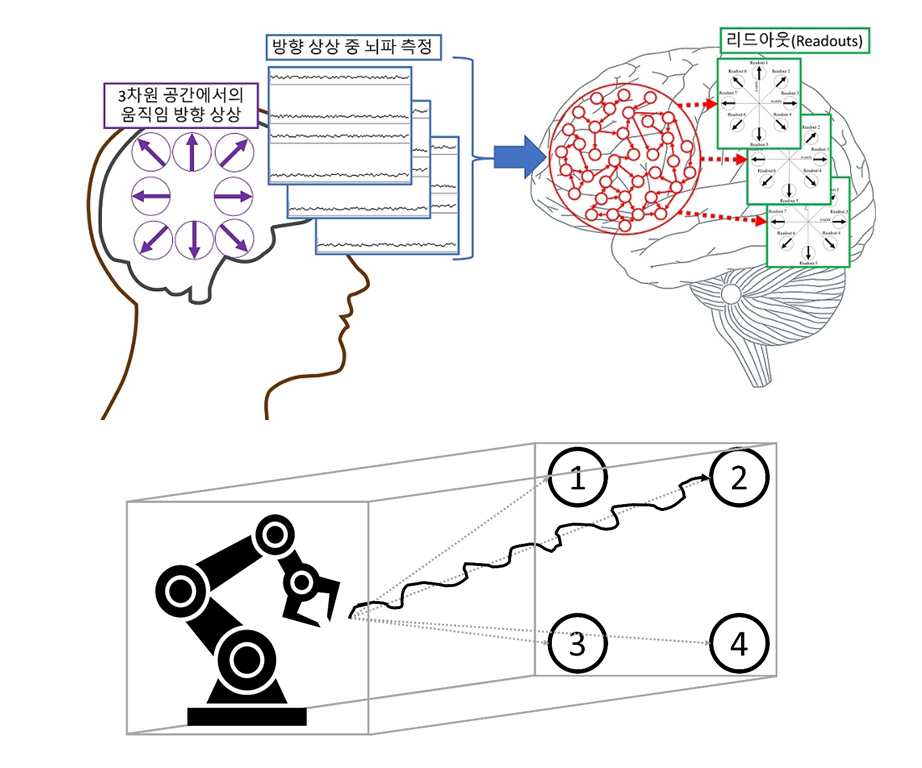 1. 뇌-기계 인터페이스 개념도. 뇌-기계 인터페이스 사용자는 3차원 공간에서 움직이고자 하는 방향을 상상하게 된다 (보라색). 방향 상상 중 측정된 뇌파는 축적컴퓨팅 패러다임으로 설계된 재귀 신경망에 입력으로 보내진다 (파란색). 재귀 신경망에서는 뇌파 중요 특성 자동 추출 및 디코딩이 수행된다 (빨간색). 이는 실제 전두엽에서 이루어지는 복잡한 계산기능을 수행하는 것을 모방한다. 이후 결과를 표현하기 위해 시각피질 영역에 있는 리드아웃으로 디코딩 결과가 전달되고 방향선택성을 가지는 리드아웃이 인터페이스 사용자의 움직임 의도 방향을 표현하게 된다 (초록색).
