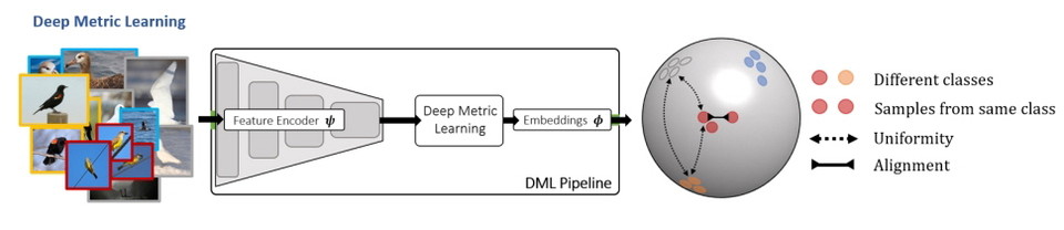 표준 DML 파이프라인의 시각화 및 임베딩 공간의 클래스 내 정렬 및 균일성 측면.(그림:논문 캡처)