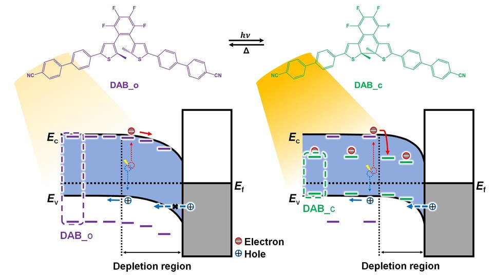 분자 스위치가 내장된 OPD의 입사광 세기에 따른 구동 메커니즘의 변화 설명 모식도
