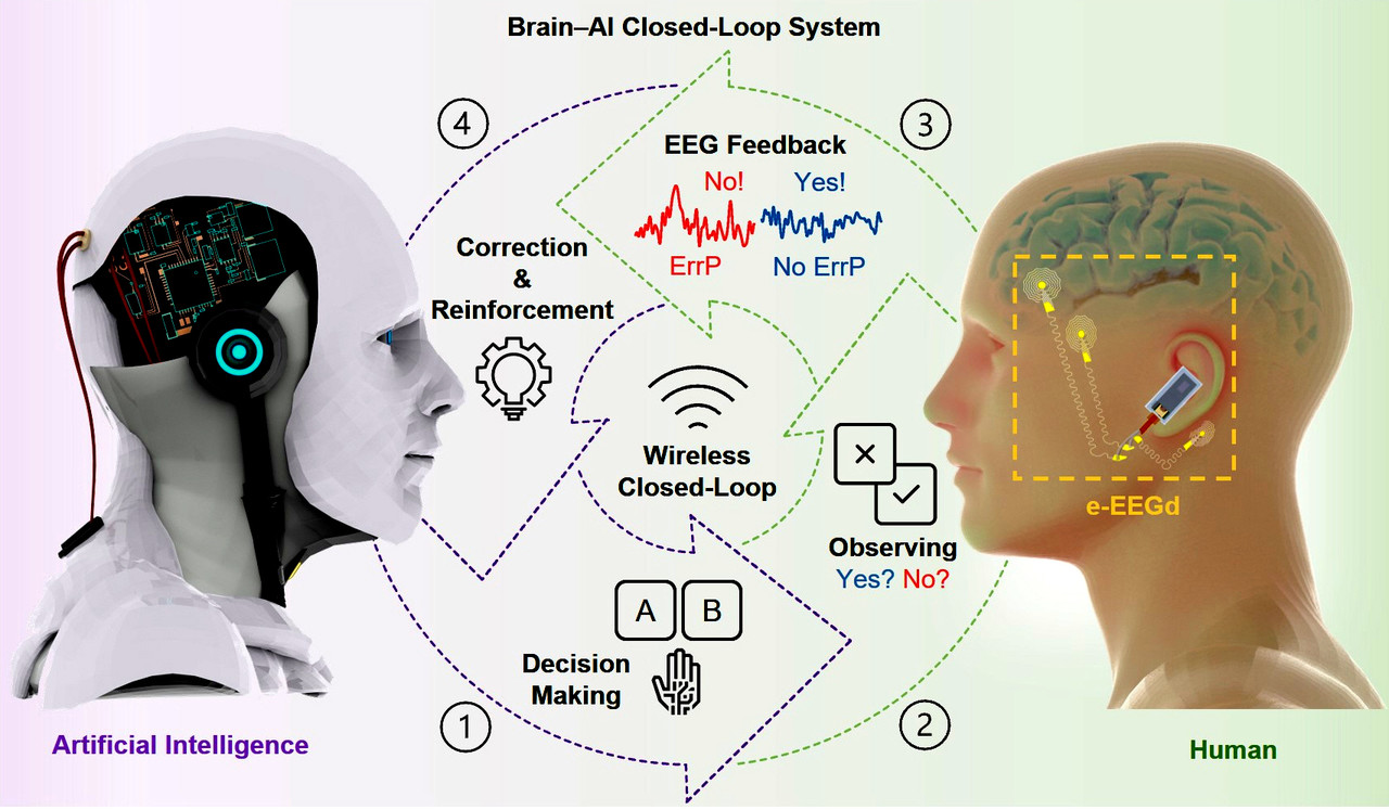 연구팀의 뇌-인공지능 폐쇄 루프 제어 시스템의 모식도