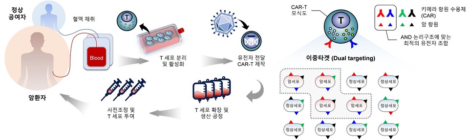 CAR-T 세포치료제의 제작 및 투여 과정과 CAR를 이용한 암세포 특이적 이중타겟 모식도