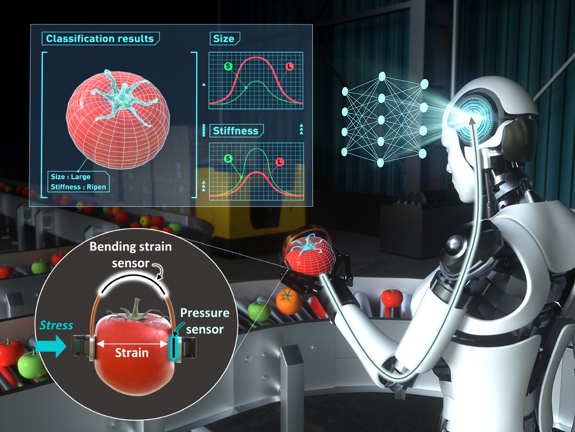 인공지능으로 로봇이 토마토 크기와 신선도 촉감까지 판단한다(이미지:논문 갈무리)
