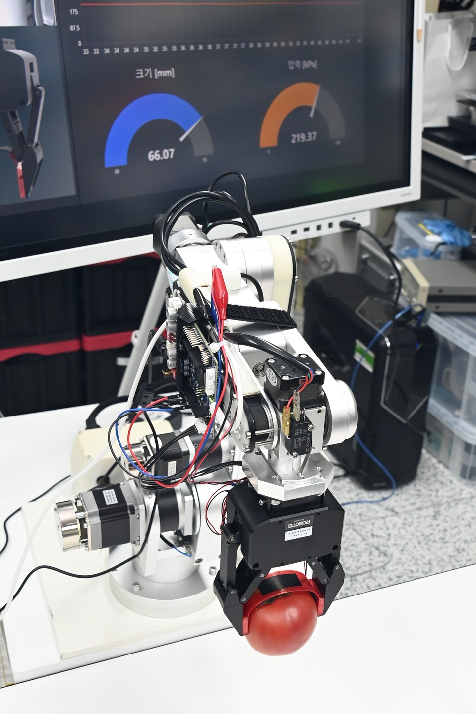 멀티 모달 유연 센서가 집적된 지능형 로봇 그리퍼 기술로 토마토를 잡고 있는 모습