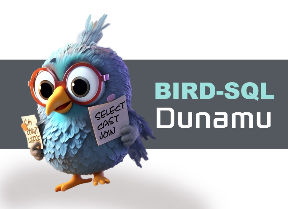 이미지:BIRD-SQL 사이트 갈무리