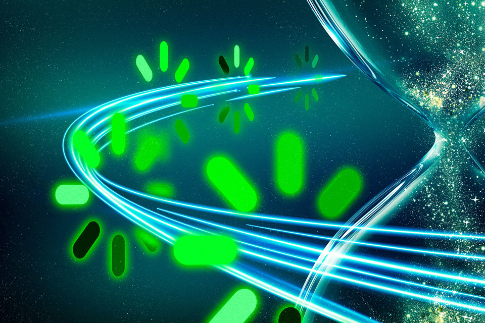 이미지: MIT, 아이스톡