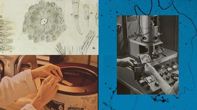 앤트로픽, AI로 생명과학 난제 해결 나선다…전 세계 연구진에 '클로드 공동연구' 제안