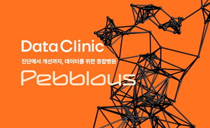 페블러스, '데이터 지도' 기반 AI 품질 진단 기술 美 특허 등록...글로벌... - 뉴스 썸네일 이미지