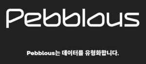 페블러스, '데이터 가치 증명' 특허 등록... 데이터 산업의 '디지털 등기... - 뉴스 썸네일 이미지