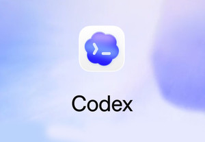 오픈AI, 코딩 특화 모델 '코덱스' 사용자 위한 월 100달러 챗GPT 프로 요금제 신설