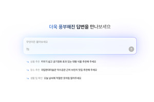 네이버, AI 검색 서비스 ‘AI탭’ 베타 출시… ‘에이전틱 검색 경험의 시작’